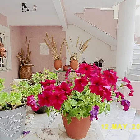 Appartamento Spacious